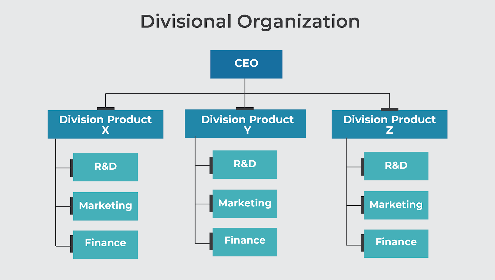 Struktur einer Divisionalen Organisation